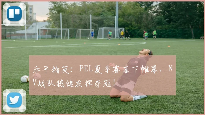 和平精英：PEL夏季赛落下帷幕，NV战队稳健发挥夺冠！