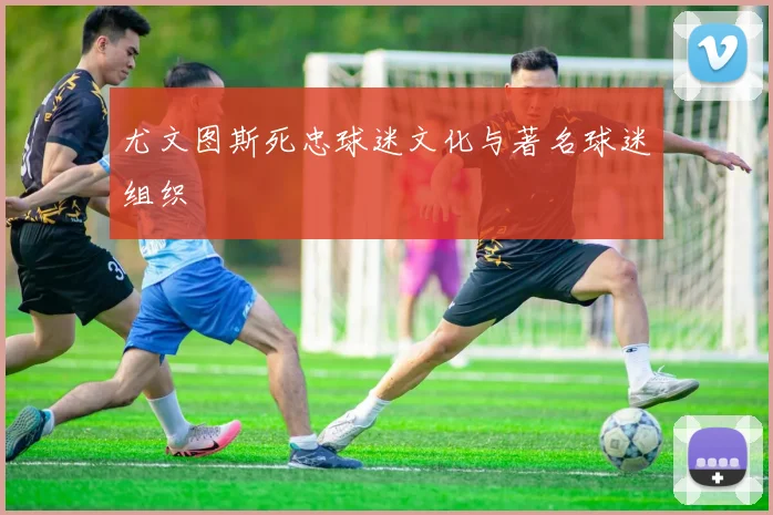 尤文图斯死忠球迷文化与著名球迷组织
