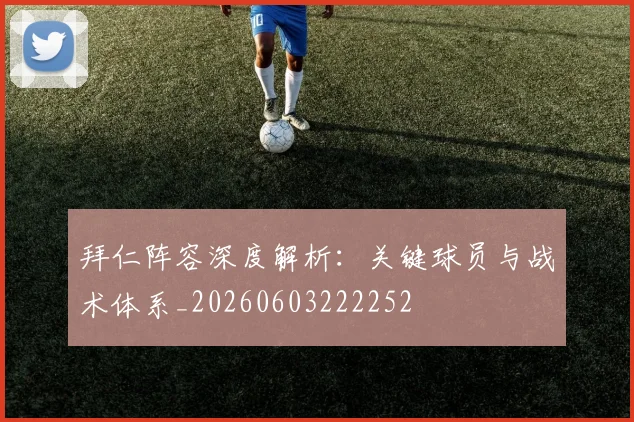 拜仁阵容深度解析：关键球员与战术体系_20260603222252