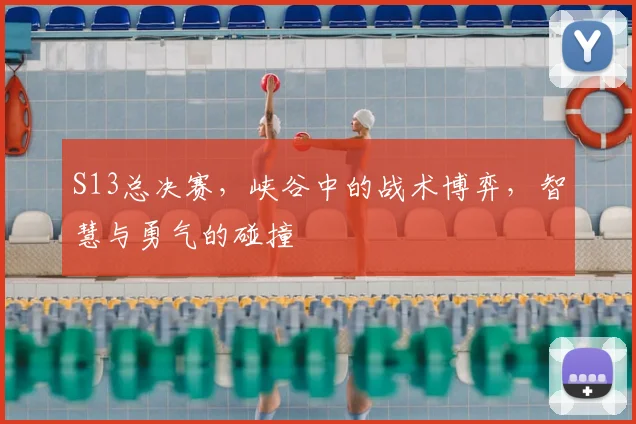 S13总决赛，峡谷中的战术博弈，智慧与勇气的碰撞